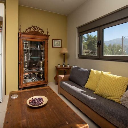 Apartament The Pine Flat Argostoli  Zewnętrze zdjęcie